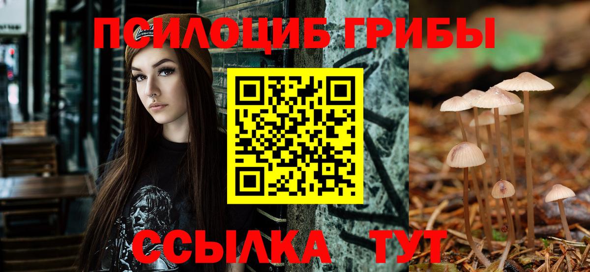 Псилоцибиновые грибы Cubensis  Псилоцибиновые грибы мухоморы  Вход с VPN  как найти закладки  Обь 