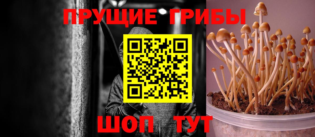 Галлюциногенные грибы ЛСД Обь